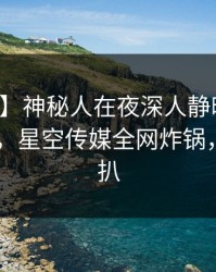 【紧急】神秘人在夜深人静时遭遇真相 心跳，星空传媒全网炸锅，详情深扒