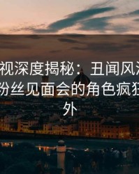 香蕉影视深度揭秘：丑闻风波背后，明星在粉丝见面会的角色疯狂令人意外