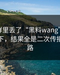 有人在群里丢了“黑料wang”，我顺手查了下，结果全是二次传播伤害套路