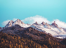 一个小细节讲明白：看懂利益分配，你就明白为什么看似无辜的人最难受