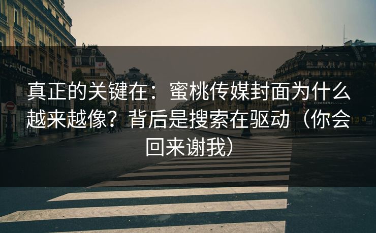 真正的关键在:蜜桃传媒封面为什么越来越像?背后是搜索在驱动(你会回来谢我) 真正的关键在:蜜桃传媒封面为什么越来越像?背后是搜索在驱动(你会回来谢我)